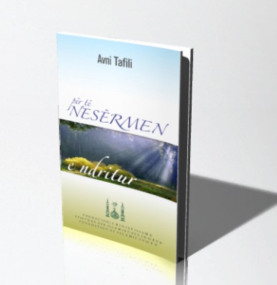 Untitled-1 Për të nesërmen e ndritur - Figura 1