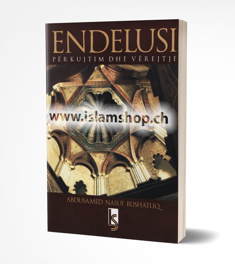 Endelusi-përkujtim-dhe-vërejtje Endelusi, përkujtim dhe vërejtje - Figura 1