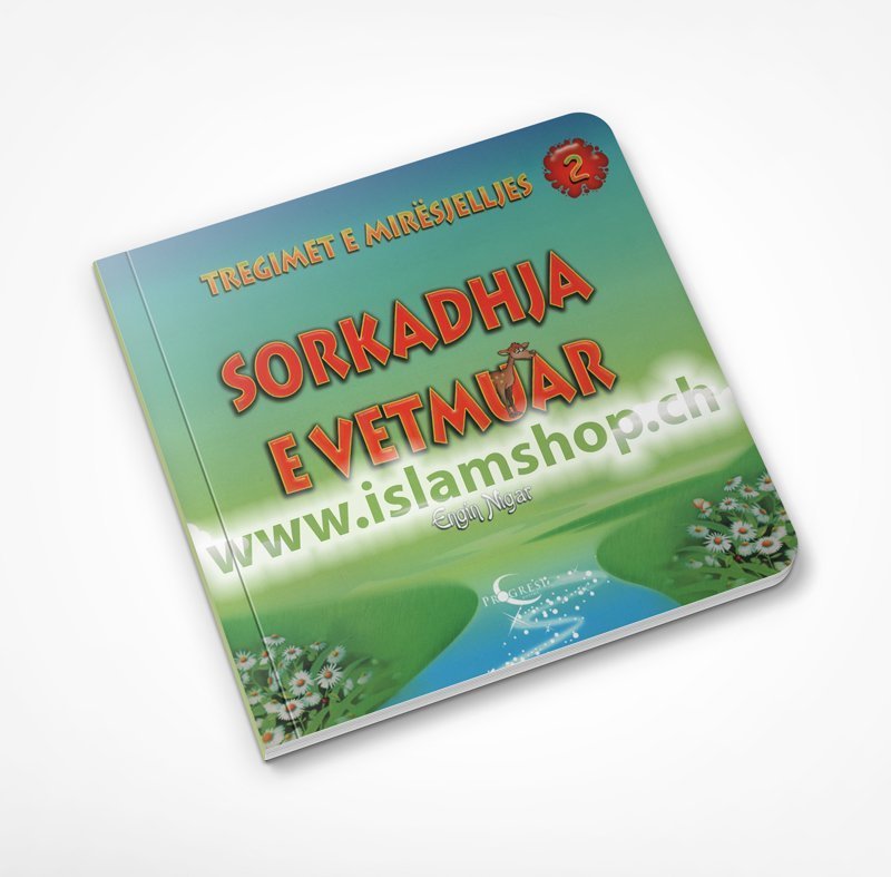 Sorkadhja-e-vetmura-nga-seriali-Tregimet-e-mirësjelljes Sorkadhja e vetmura, nga seriali Tregimet e mirësjelljes - Figura 1