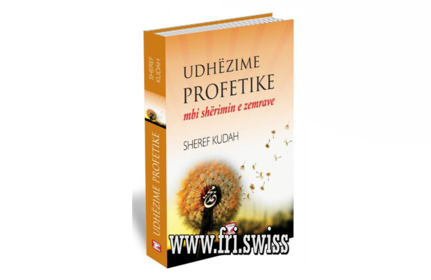 New Project - 2022-04-14T151823.694 Udhëzime profetike mbi shërimin e zemrave - Figura 1