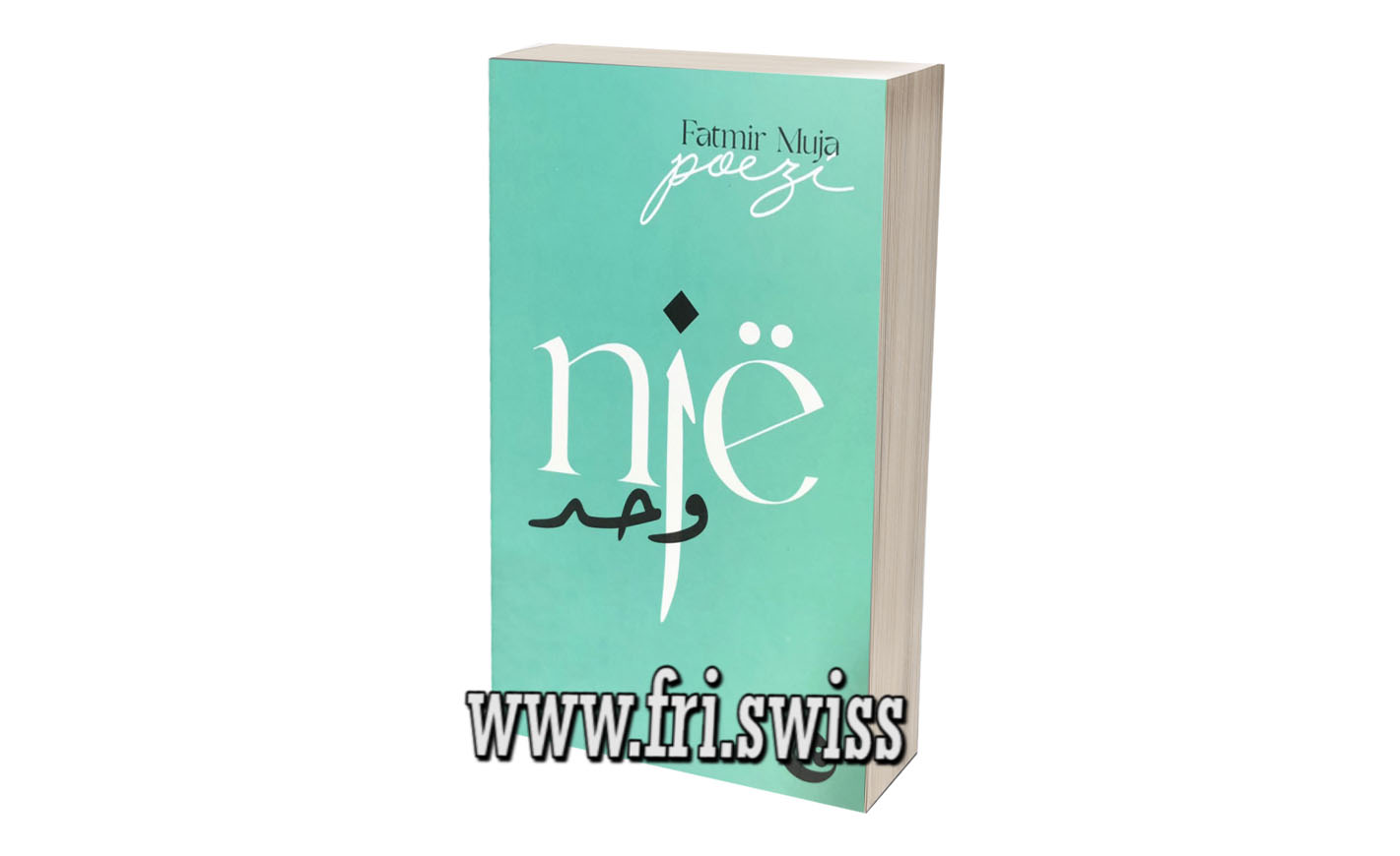 njeeeeee Një - Figura 1