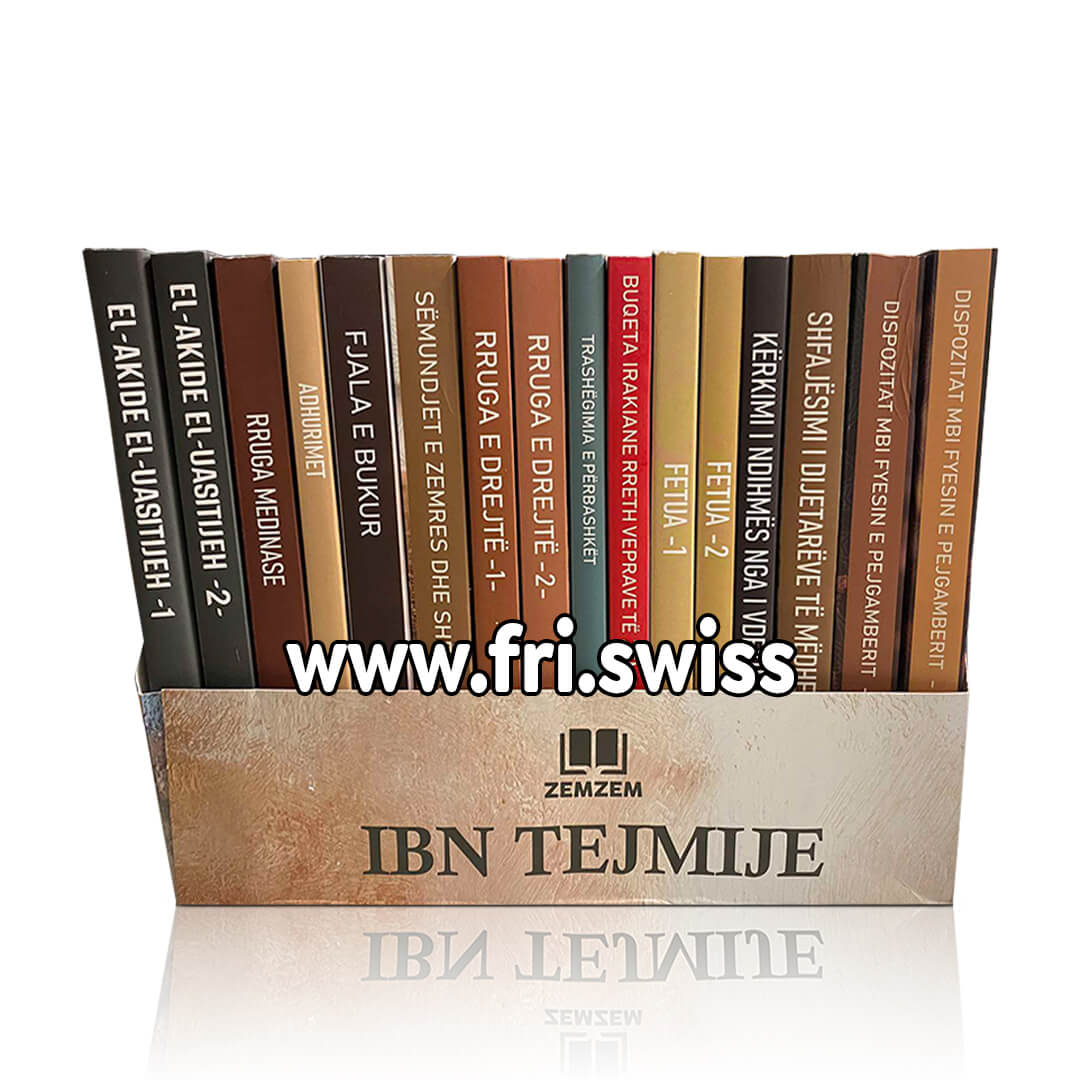 Seti Ibn Tejmije me 16 libra - Figura 1